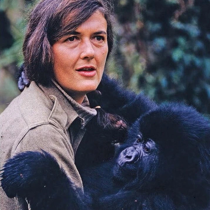 Dian Fossey